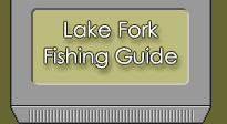 Lake Fork Fishing Guide